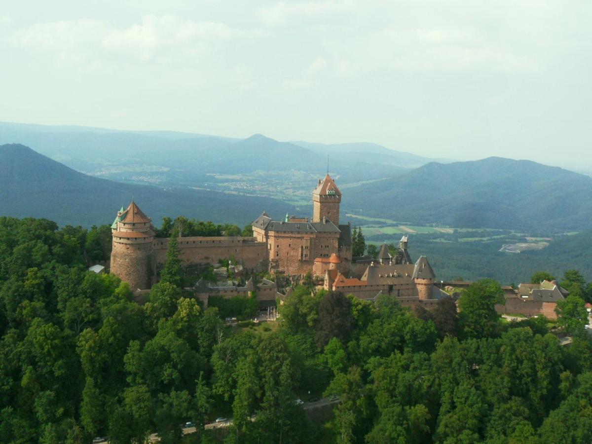 Gite La Maison Bleue Bergheim Zewnętrze zdjęcie
