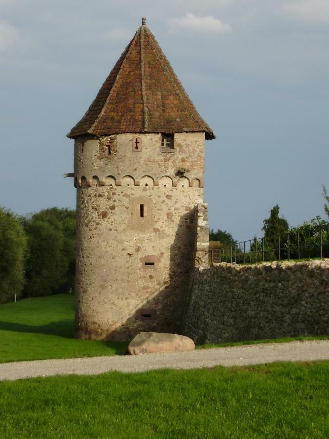 Gite La Maison Bleue Bergheim Zewnętrze zdjęcie