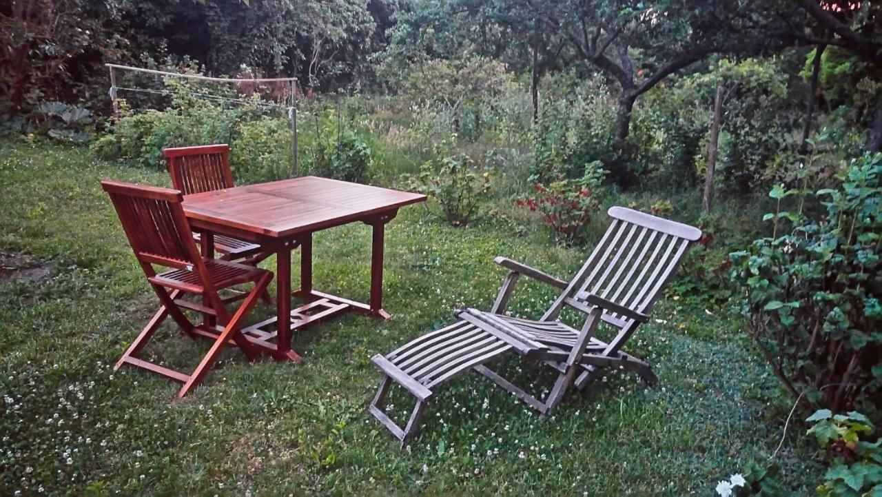 Gite La Maison Bleue Bergheim Zewnętrze zdjęcie