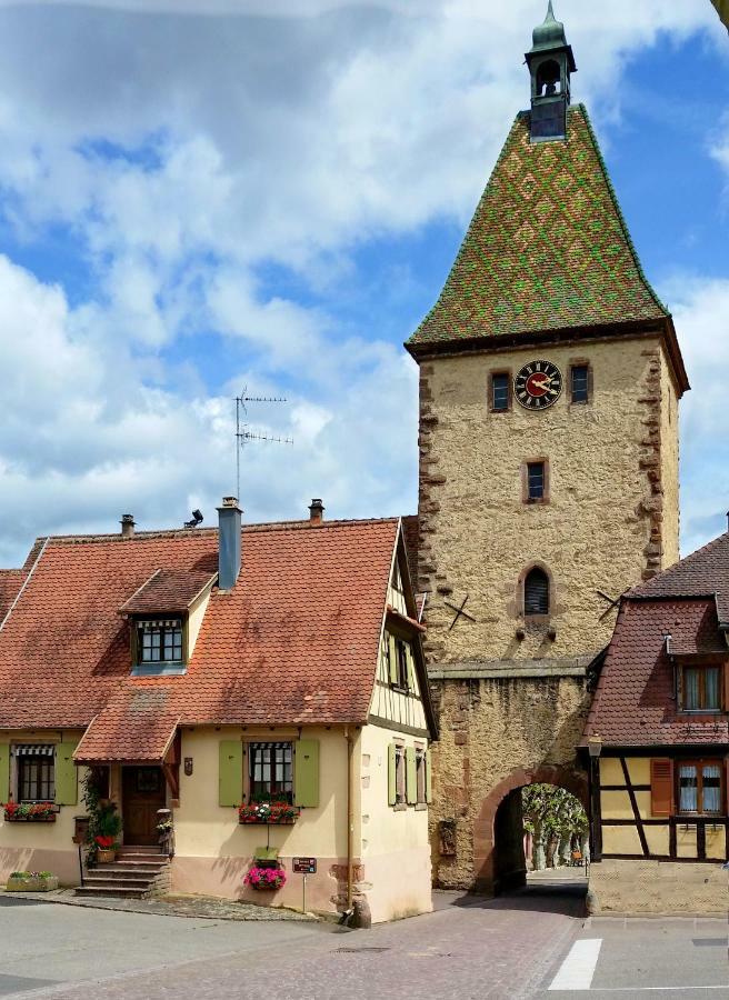 Gite La Maison Bleue Bergheim Zewnętrze zdjęcie